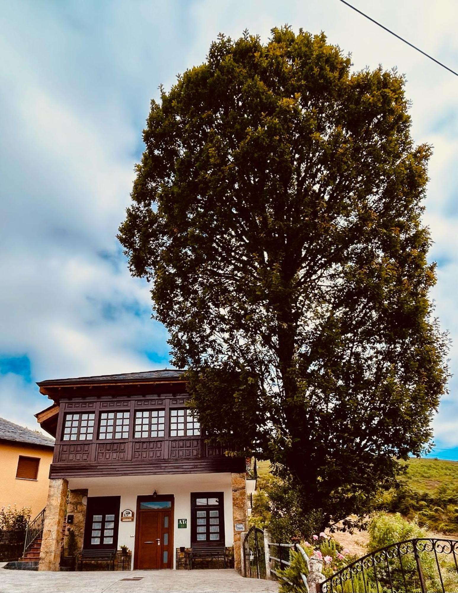 El Balcon De Muniellos Oballo Ngoại thất bức ảnh